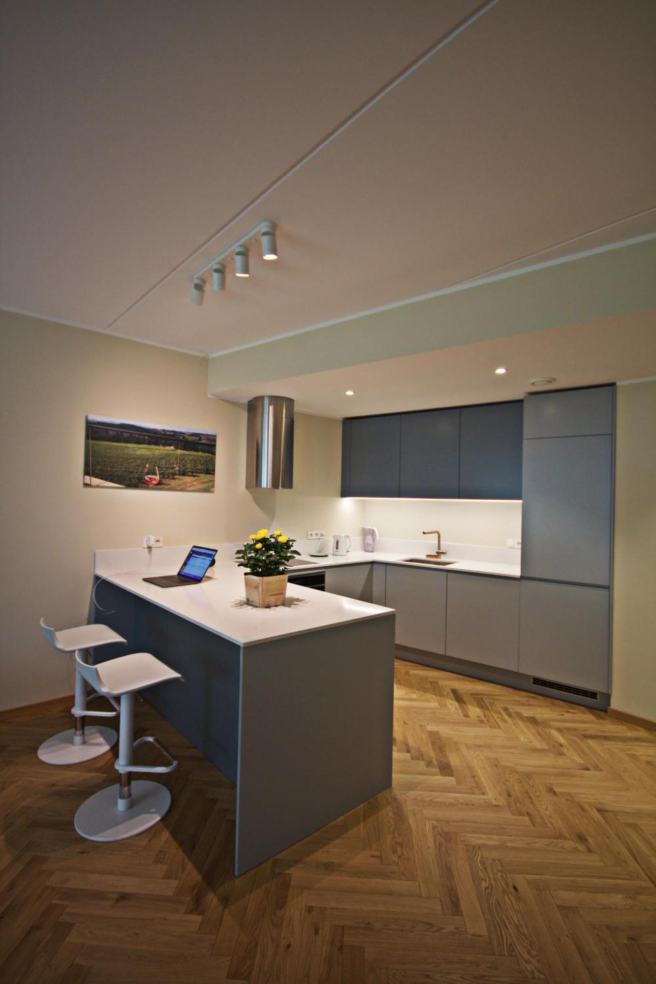 Fabulous Location Apartments Deluxe Tallin Pokój zdjęcie